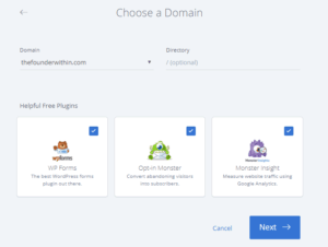 Bluehost Domain