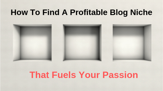 How To Find A Profitable Blog Niche (1)